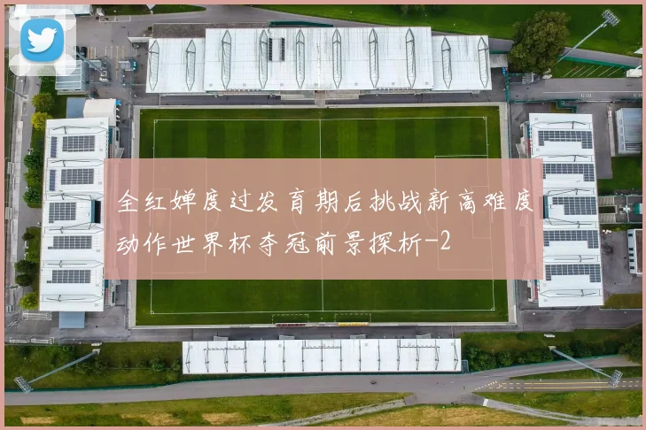 全红婵度过发育期后挑战新高难度动作世界杯夺冠前景探析