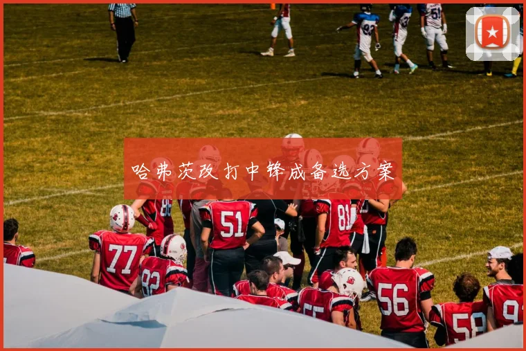 哈弗茨改打中锋成备选方案